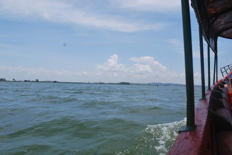 1-Day Mabamba Shoebill Birding Tour in Lake Victoria Entebbe - Key things to know before you go