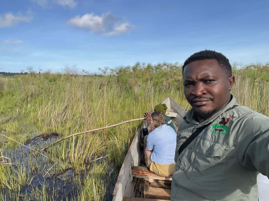 1-Day Mabamba Shoebill Birding Tour in Lake Victoria Entebbe - What you can expect to spot besides the shoebill