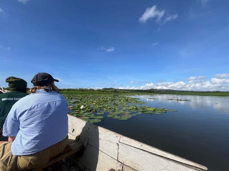 1-Day Mabamba Shoebill Birding Tour in Lake Victoria Entebbe - Weather and crowds: the real-life factors