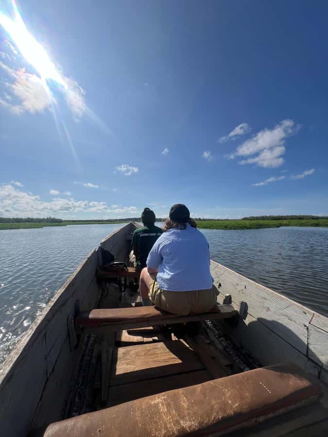 1-Day Mabamba Shoebill Birding Tour in Lake Victoria Entebbe - Who should book this Mabamba shoebill day tour