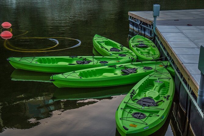 2 Hour Kayak Lessons On Lady Bird Lake - The Kayaking Lesson: Short, Useful, and Built for First-Timers
