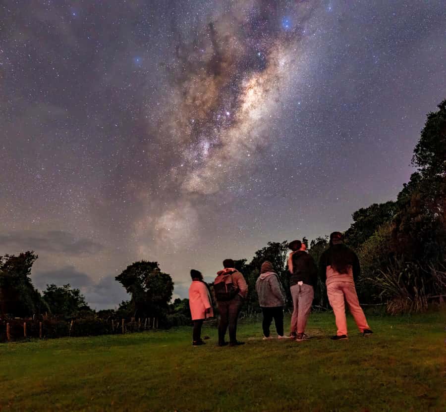 Auckland (Tawharanui): Wild Kiwi Bird Spotting Encounter - The 2-Hour Guided Walk: What You Actually Do in the Dark