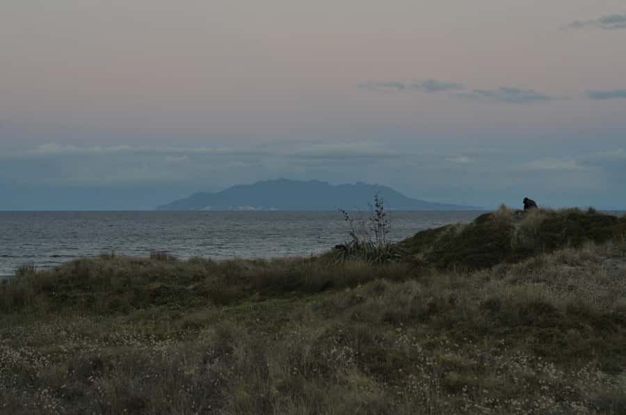 Auckland (Tawharanui): Wild Kiwi Bird Spotting Encounter - The Night Sky Show: Stars, Planets, and Māori Constellation Stories