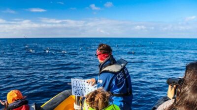 Azores Marine Birdwatching Expedition - Meeting in Ponta Delgada and getting suited up at the marina