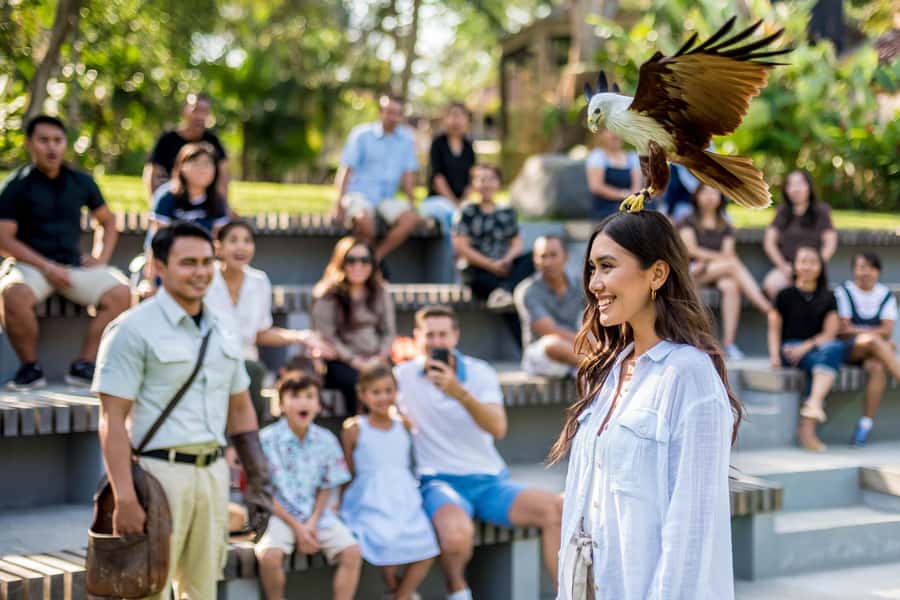 Bali Bird Park 1-Day Admission Ticket - Key highlights to plan your day around