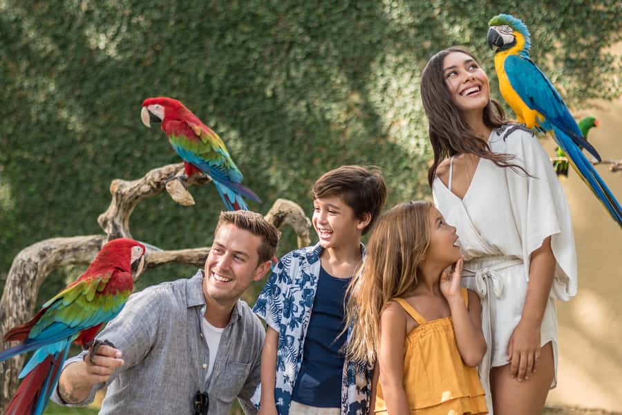 Bali Bird Park 1-Day Admission Ticket - Why Bali Bird Park is a smart 1-day use of time