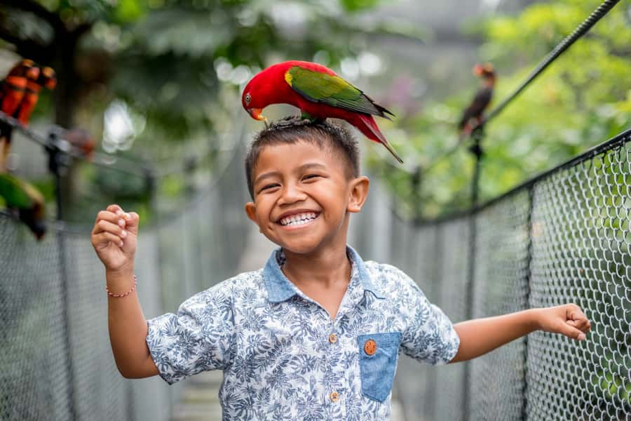 Bali Bird Park 1-Day Admission Ticket - The bird-show lineup: how to not miss the best moments
