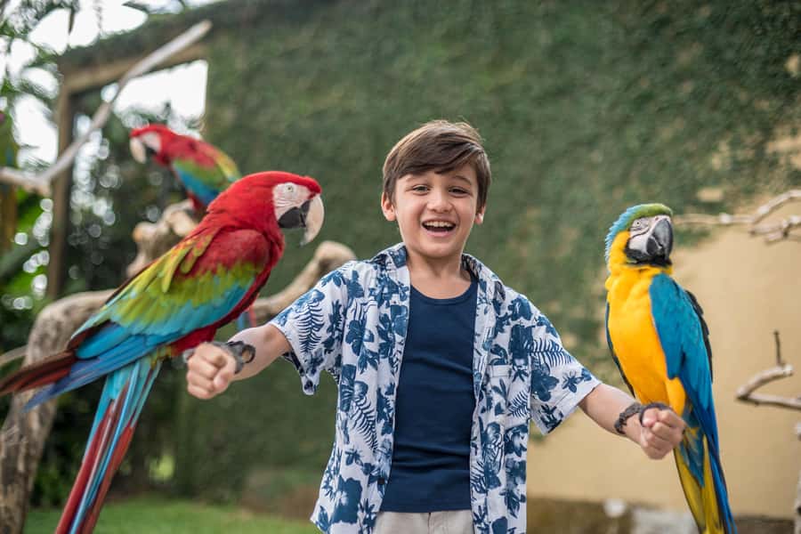 Bali Bird Park 1-Day Admission Ticket - Feeding sessions: why these are the best part of the day