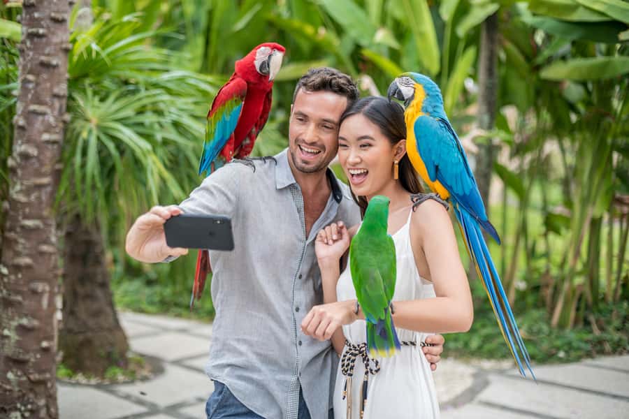 Bali Bird Park 1-Day Admission Ticket - Guyu Guyu Corner and the 4D cinema that breaks up the heat