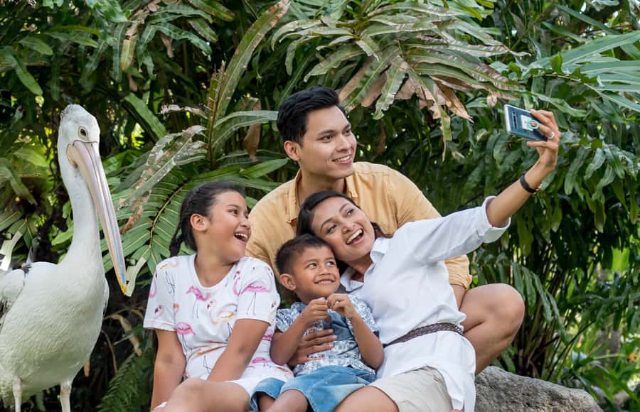 Bali Bird Park 1-Day Admission Ticket - Specific show types: what to expect and what to watch for