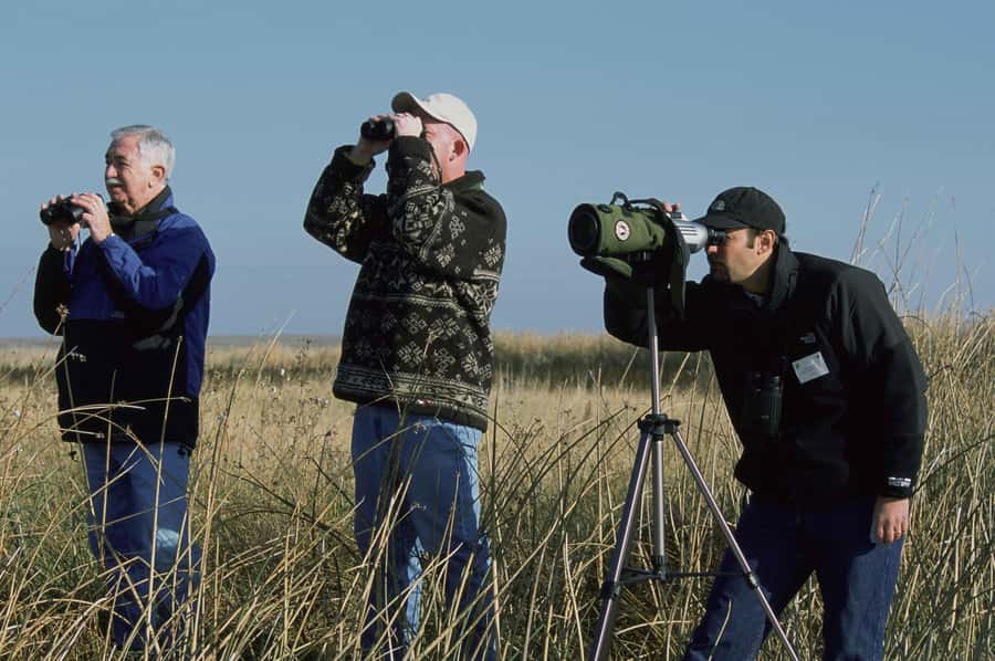 Bali: Countryside Bird Watching Tour with Hotel Transfer - Ubud Countryside Birding: Why Rice Fields and Ridge Views Work