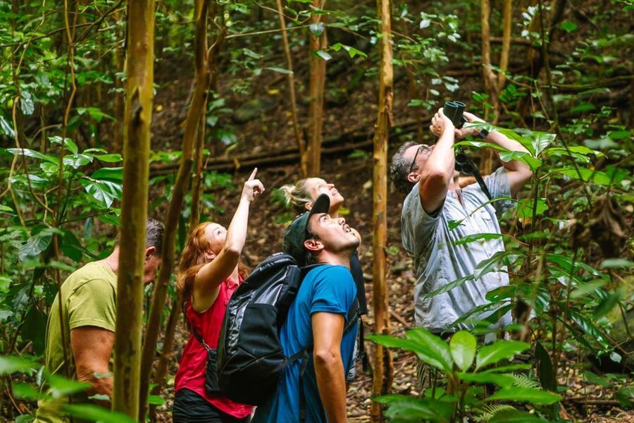 Big Island: Native Bird Watching & Hiking Tour - Hakalau Forest National Wildlife Refuge: the real reason to go