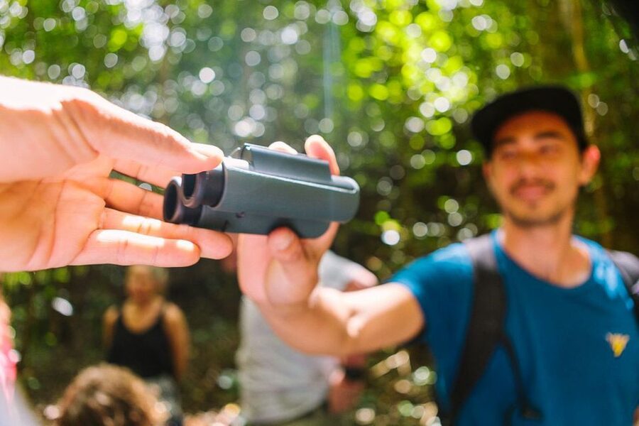 Big Island: Native Bird Watching & Hiking Tour - The rhythm of a 12-hour day on the Big Island