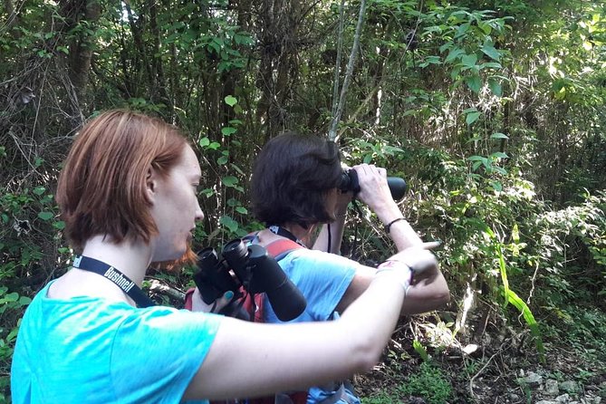 Bird watching ecofriendly tour from Cancun & Riviera Maya - The toucan moment (and why it’s more than a photo)