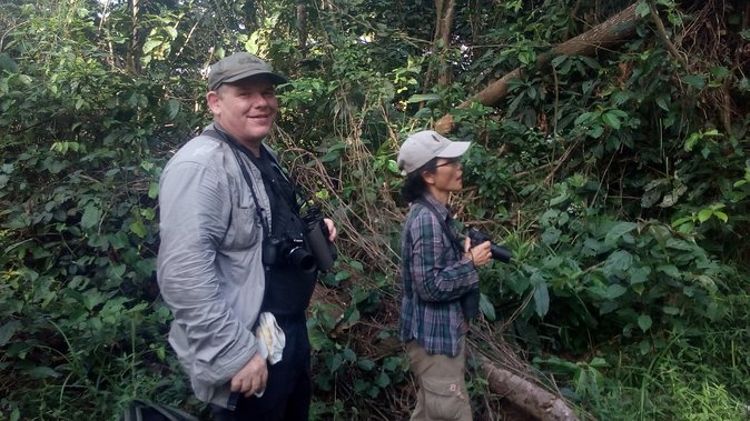 Bird watching tours , cultural and historical tours of Ghana. - Day 2: Kakum Canopy Walkway and Cape Coast Castle Wildlife