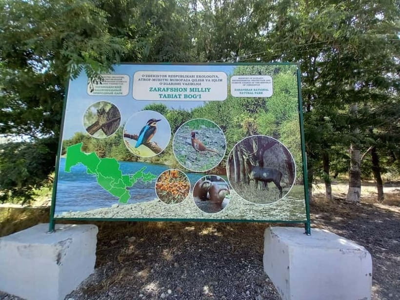 Bird Watching Tours in Samarkand - Key highlights you’ll feel the moment you arrive