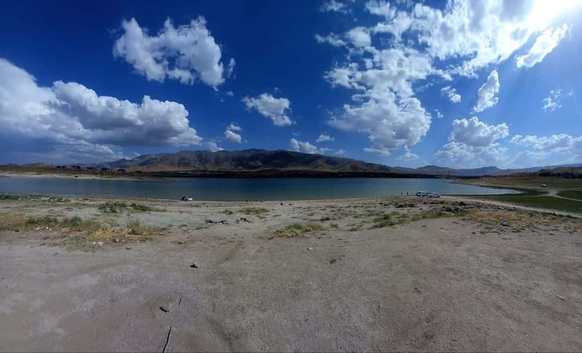 Bird Watching Tours in Samarkand - Bird Watching Tours in Samarkand: where the birds come from