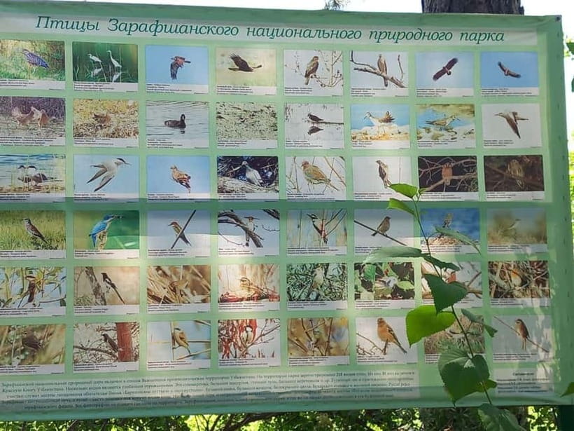 Bird Watching Tours in Samarkand - Aman-Kutan: the hiking break that keeps the day from feeling rushed