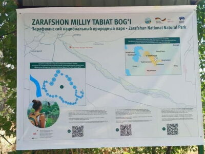 Bird Watching Tours in Samarkand - Zeravshan Natural Reserve: tugai woods, quick sightings, and real variety