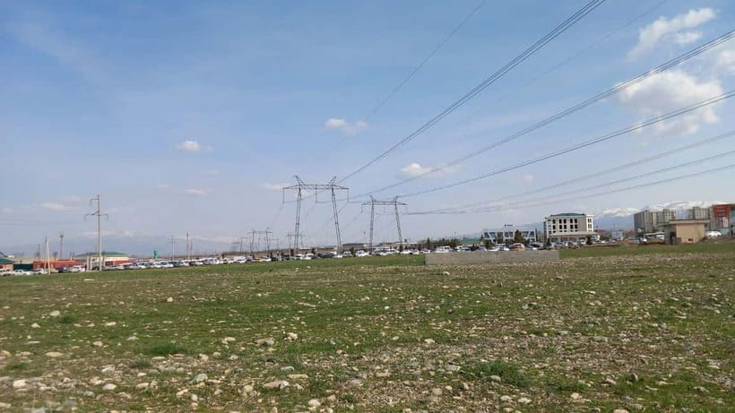 Bird Watching Tours in Samarkand - Oqdarya (Ishtixan) Reserve: river-water birds and shrub-edge hunters