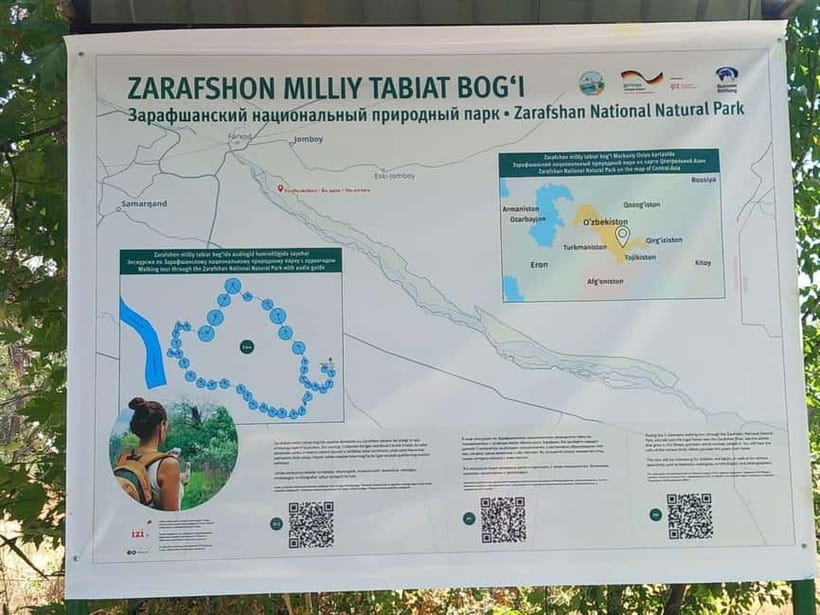Bird Watching Tours in Samarkand - Zeravshan Natural Reserve: tugai woods, quick sightings, and real variety