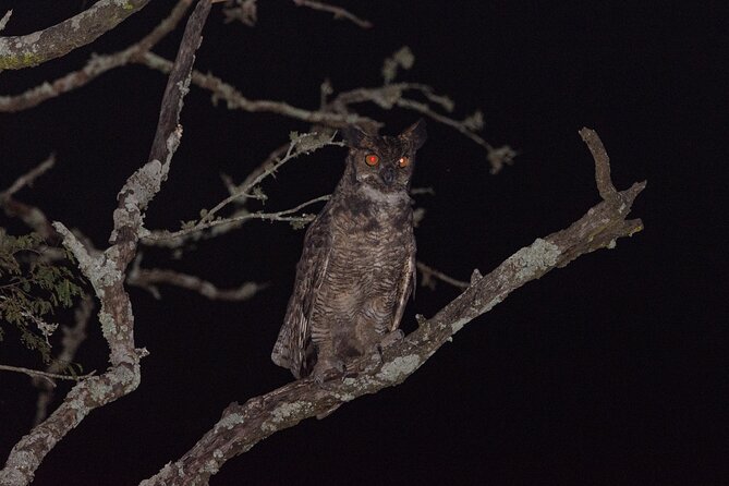 Birding and Nature Chaco Tour - Key Points to Know Before You Go