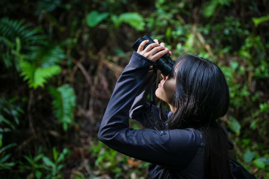 Birding Medellin with expert bird-watcher (Private) - Key things that make this birding tour work