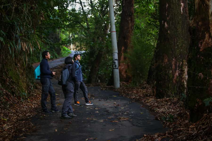Birding Medellin with expert bird-watcher (Private) - Weather, packing, and the hilly reality near Medellín