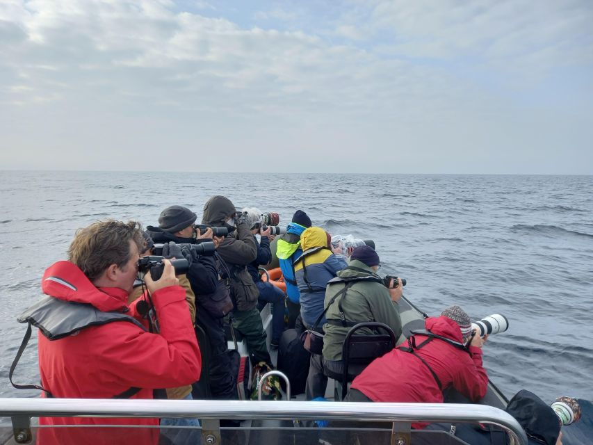 Birdwatching Boat Tour in the Tagus Estuary - The Gaio-Rosário Photo Stop: Time to Reset Your Eyes