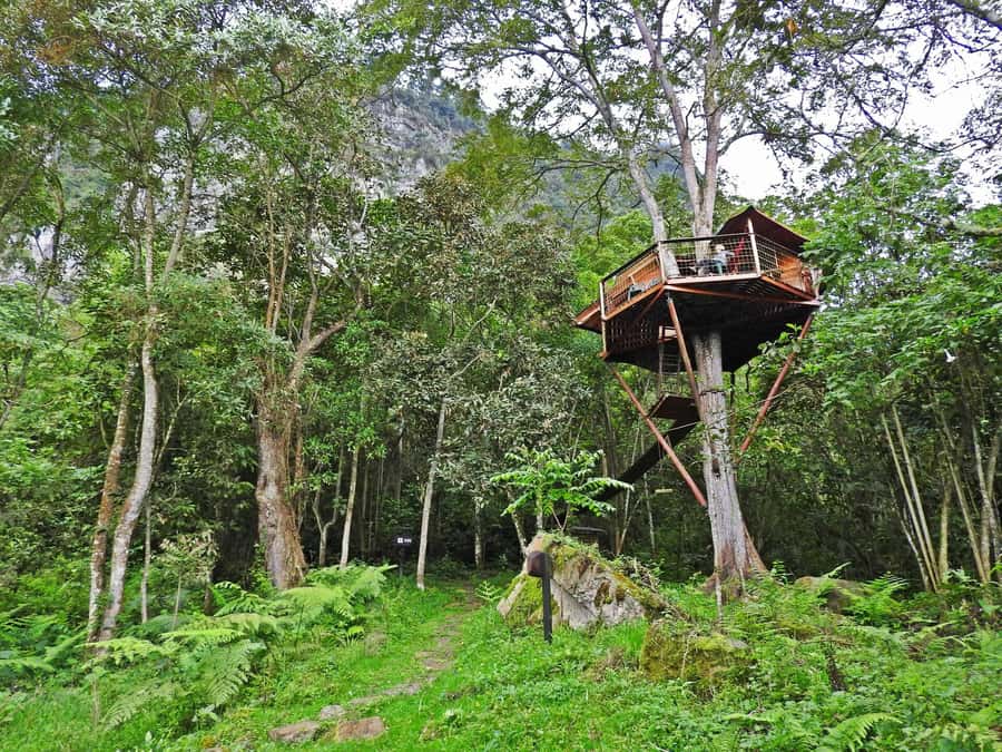 Birdwatching Day Tour at Chicaque Natural Park - Tips to get better bird results on the day