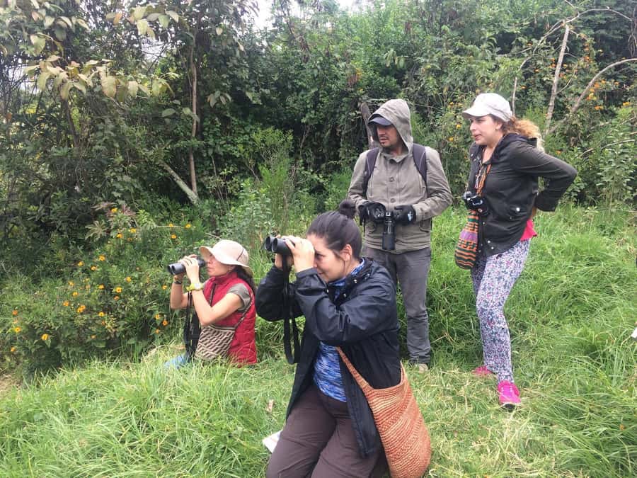 Birdwatching Day Tour at Chicaque Natural Park - Getting from Bogotá to Chicaque: smooth pickup, real escape
