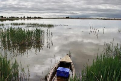 Birdwatching in the Ebro Delta - Les Olles lagoon: the star of the show