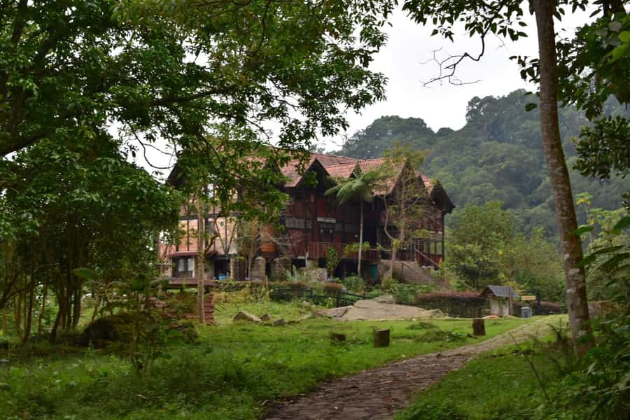 Bogota: Explore the forest and bird watching at Chicaque Natural Park - Key highlights I’d plan around