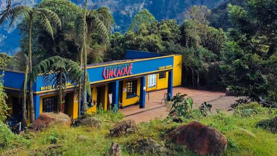 Bogota: Explore the forest and bird watching at Chicaque Natural Park - Chicaque’s cloud-forest setting: why it’s worth leaving Bogotá