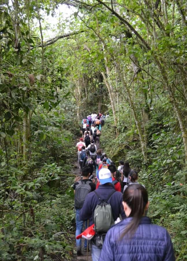 Bogota: Explore the forest and bird watching at Chicaque Natural Park - Arrival and first steps inside the park: the guided orientation you actually need