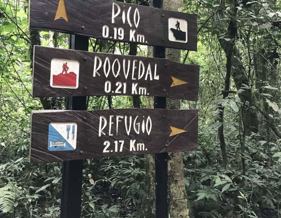 Bogota: Explore the forest and bird watching at Chicaque Natural Park - The main hike: trails, bird watching, and spotting orchids (with a guide)