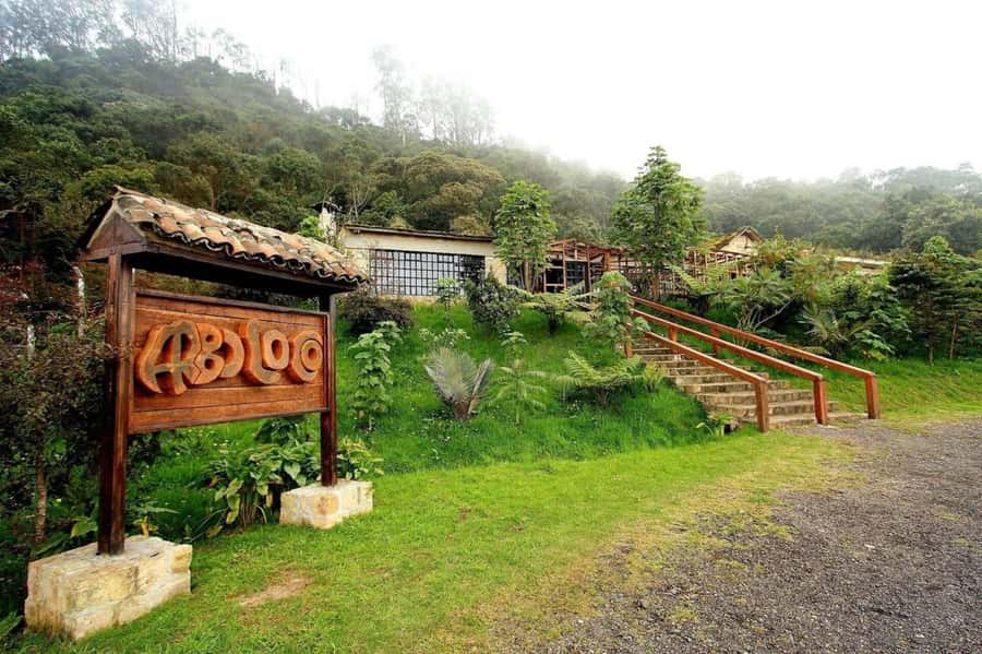 Bogota: Explore the forest and bird watching at Chicaque Natural Park - Chicaque Waterfall: the highlight hike and what to expect
