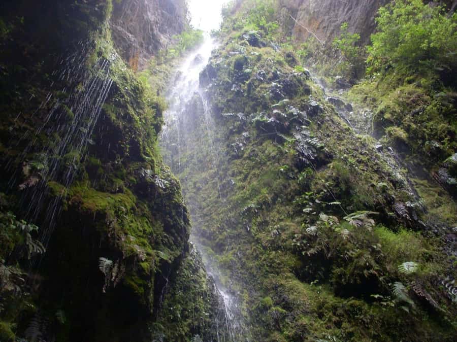 Bogota: Explore the forest and bird watching at Chicaque Natural Park - Lunch in the park: the reset button you’ll appreciate