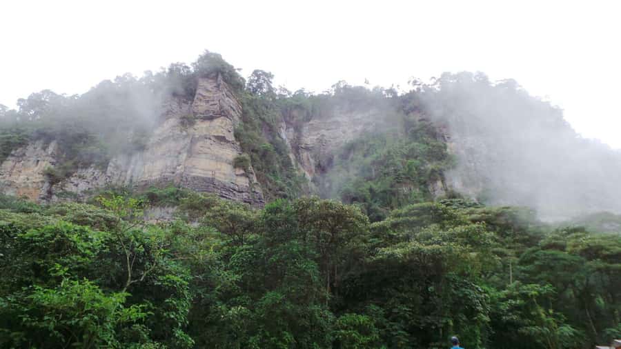 Bogota: Explore the forest and bird watching at Chicaque Natural Park - What’s included (and why it matters for value)