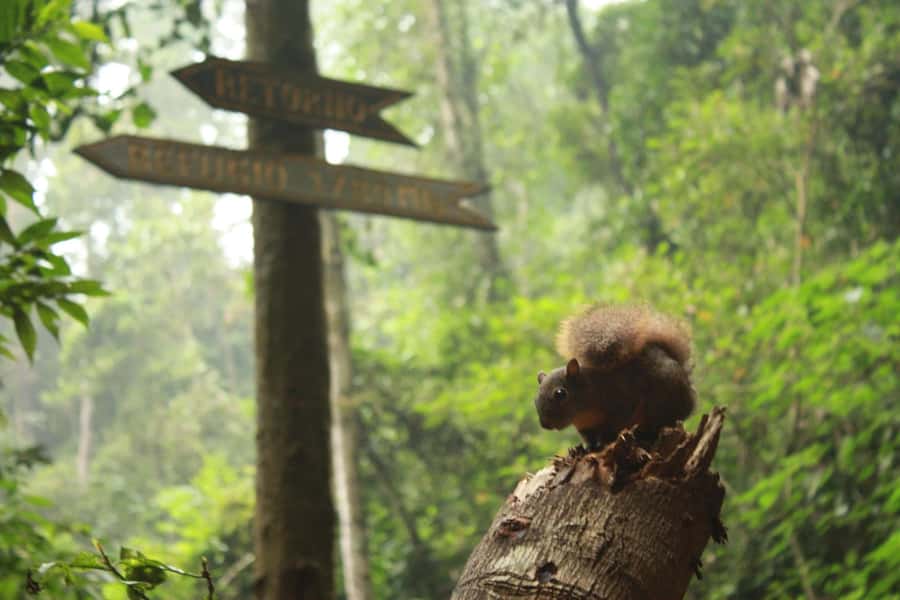 Bogota: Explore the forest and bird watching at Chicaque Natural Park - Getting there: private transport and panoramic mountain road views