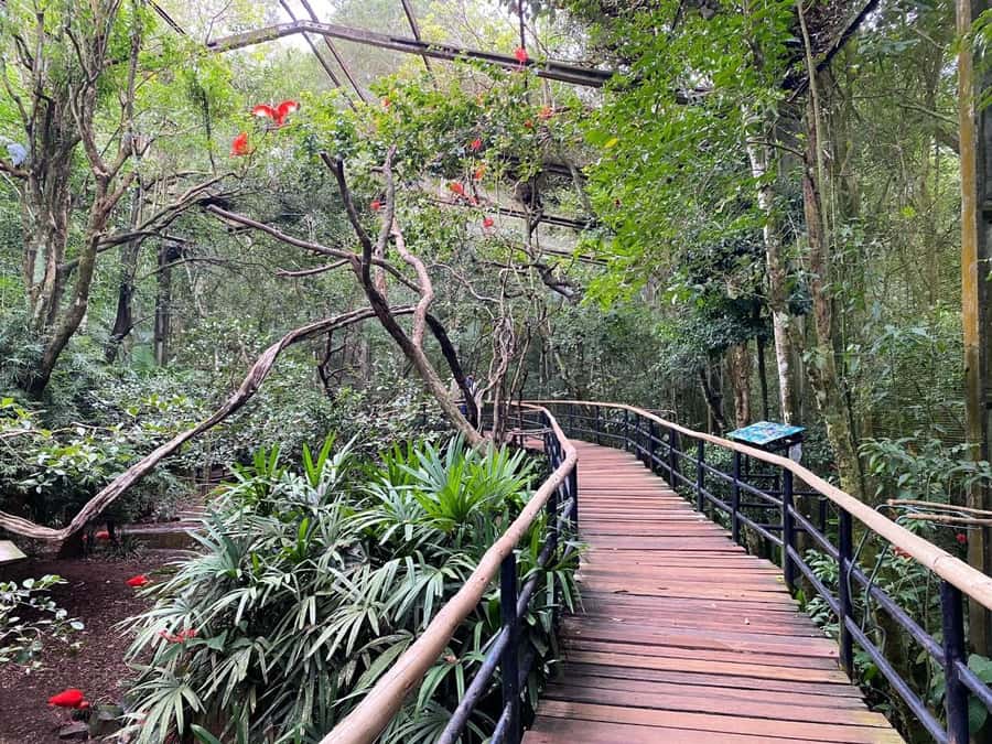 Brazilian Falls, Bird Park and Itaipu Dam - How to pack for real life: bugs, mist, and comfort