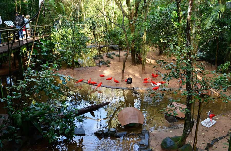 Brazilian Falls, Bird Park and Itaipu Dam - Who this tour fits best (and who should skip it)