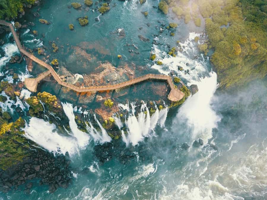 Brazilian Iguassu Falls,Bird park Boat Safari all tickets - Price and value: is $321 worth it for Iguassu Falls plus bird park plus boat?