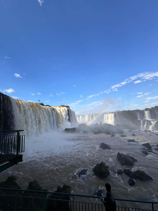 Brazilian Iguassu Falls,Bird park Boat Safari all tickets - Pickup in Foz do Iguaçu: how the day starts smoothly