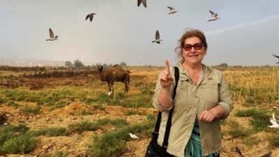 Cairo: Wadi El Ryan Fayoum Oasis &Bird Watching Private Tour - Wadi El Rayan Protected Area: bird watching with purpose