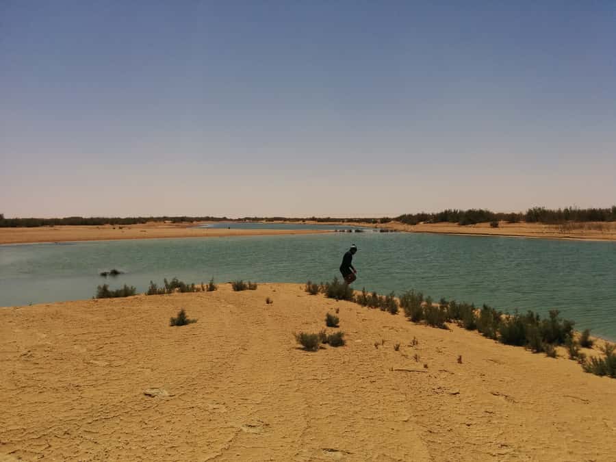 Cairo: Wadi El Ryan Fayoum Oasis &Bird Watching Private Tour - Guides and the value of how you’re led