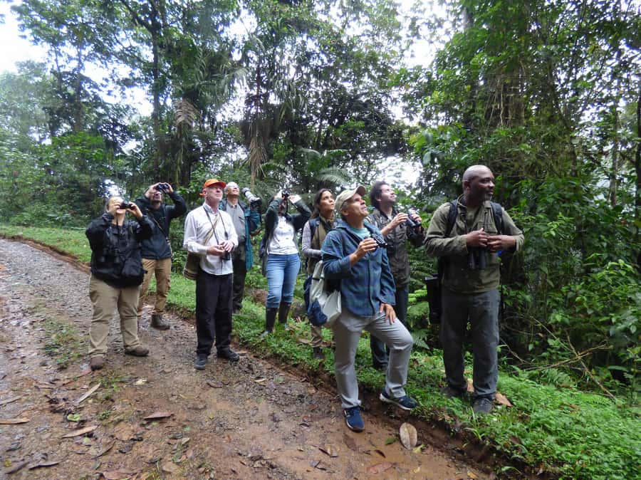 Cali: Bird Watching in The San Antonio Fog Forest - Flora and fauna: it’s not only about birds