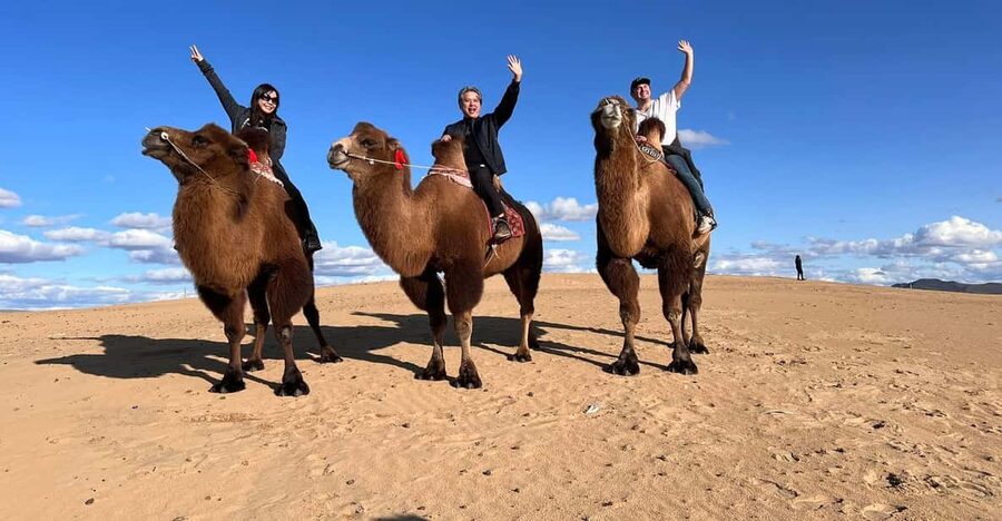Camel Trails and Bird Tales: Discovering Elsen Tasarkhai - Hiking, photos, and mini Gobi scale: making the dunes worth your time