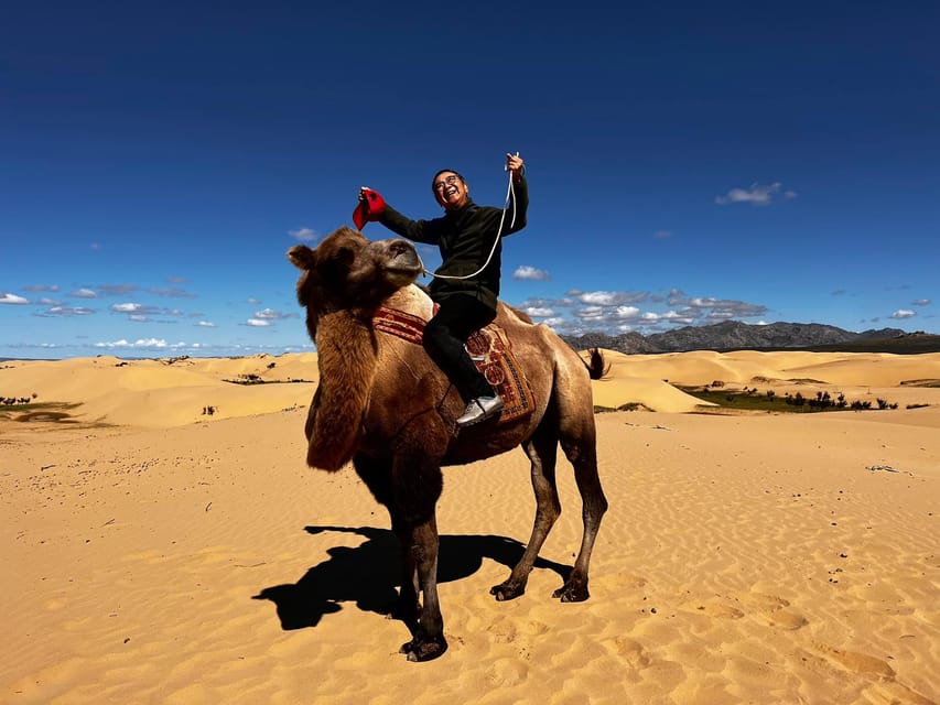 Camel Trails and Bird Tales: Discovering Elsen Tasarkhai - Yurt culture and tea pauses: the human side of the desert