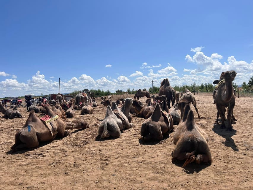 Camel Trails and Bird Tales: Discovering Elsen Tasarkhai - Practical stuff that can make or break comfort
